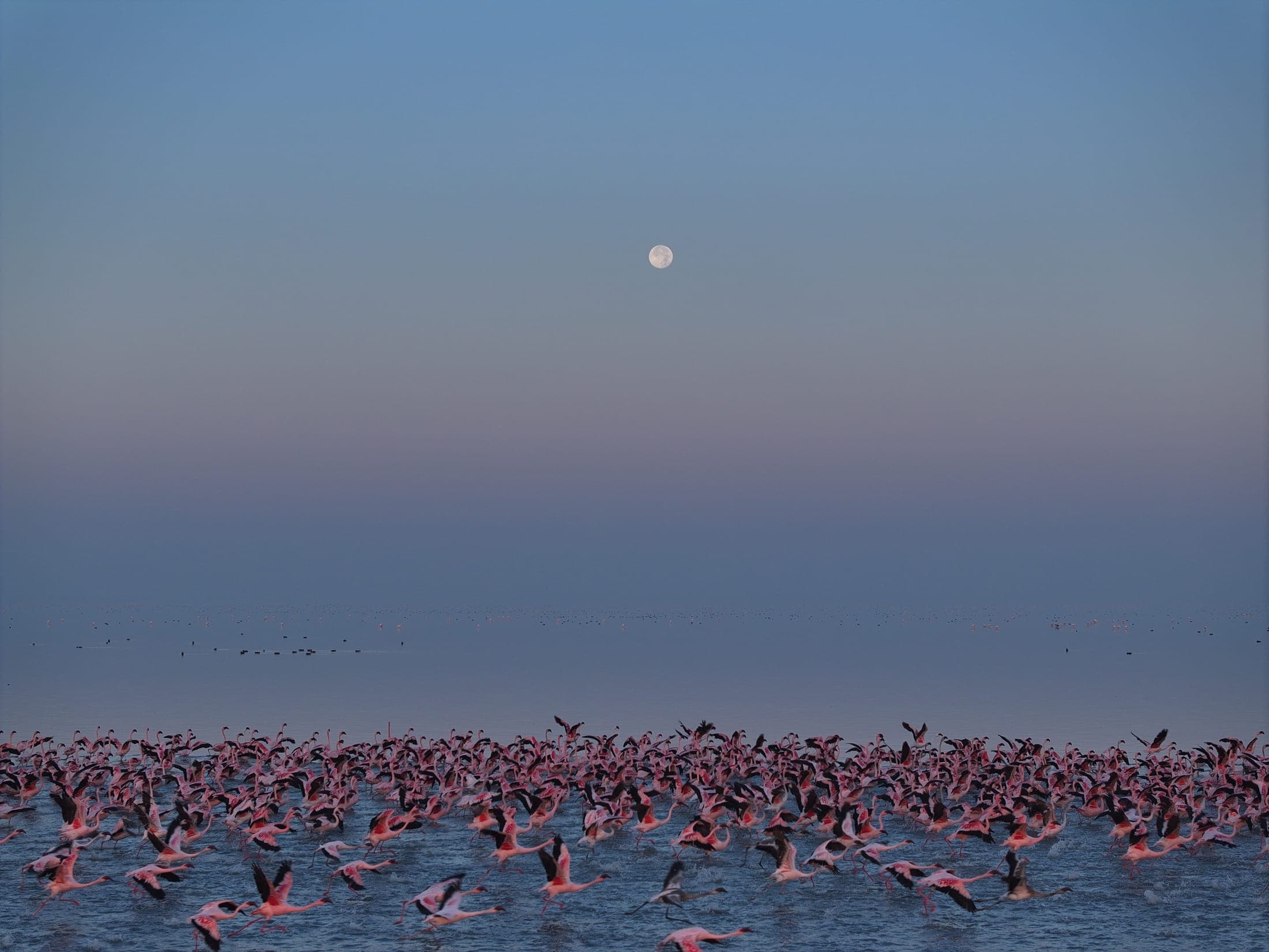 Dawn over the salt pans